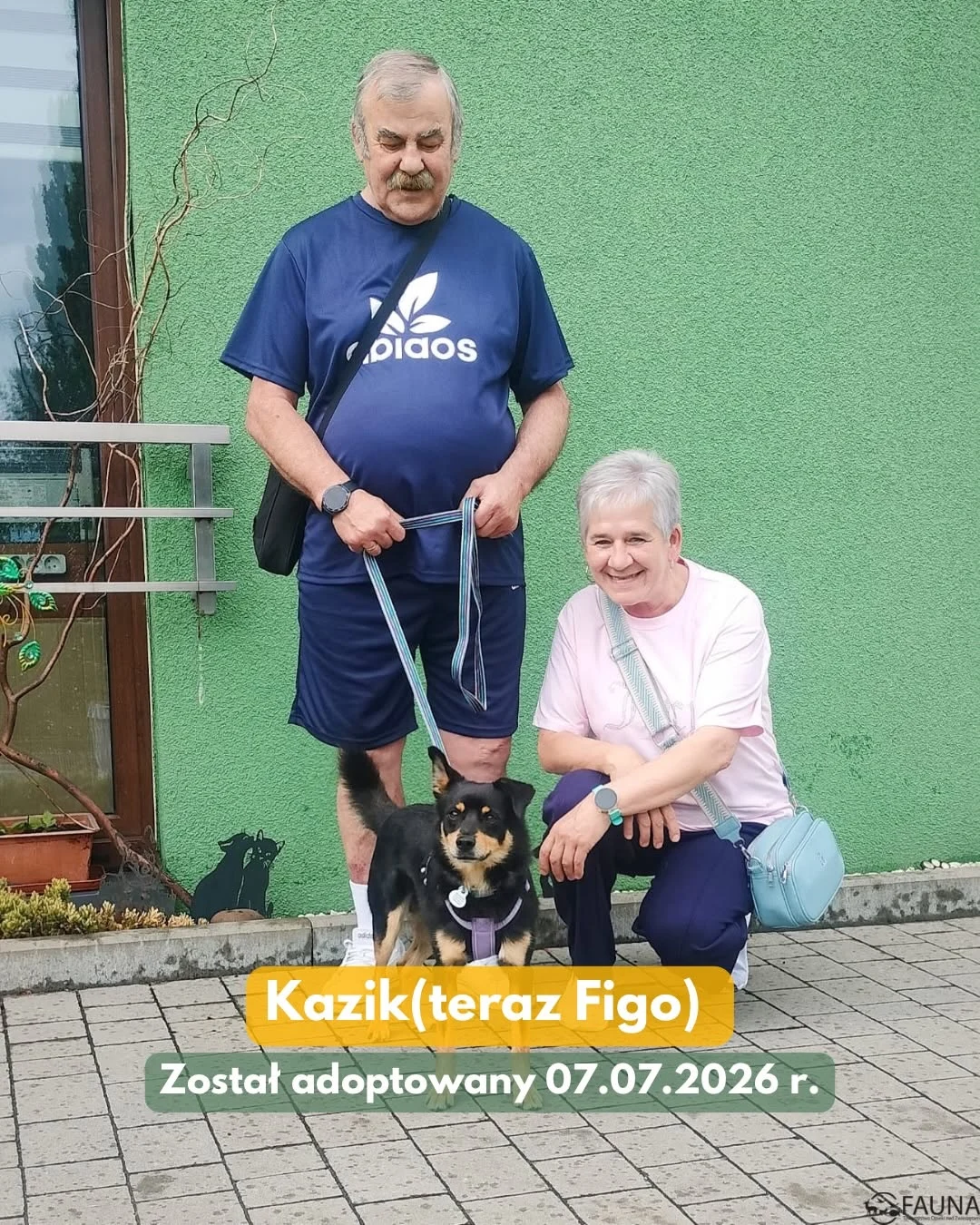 Dziesięć zwierząt z rudzkiej „Fauny” znalazło nowe domy / fot. TOZ Fauna