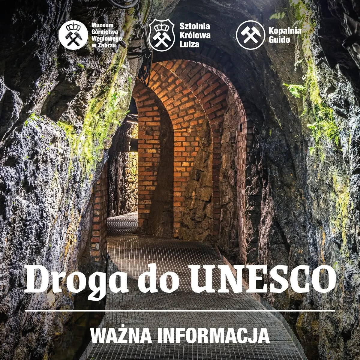 Zabrzańskie podziemia w drodze do UNESCO. Mieszkańcy poznają etap starań