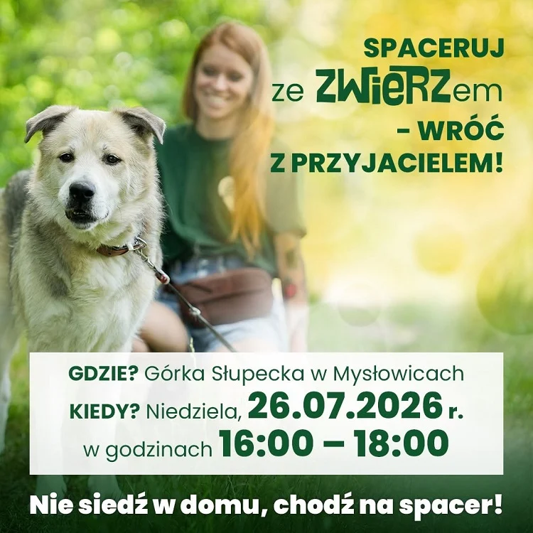 Spacer z psami w Mysłowicach. Fundacja ZWIERZ zaprasza na Górkę Słupecką / fot. FB Zwierz