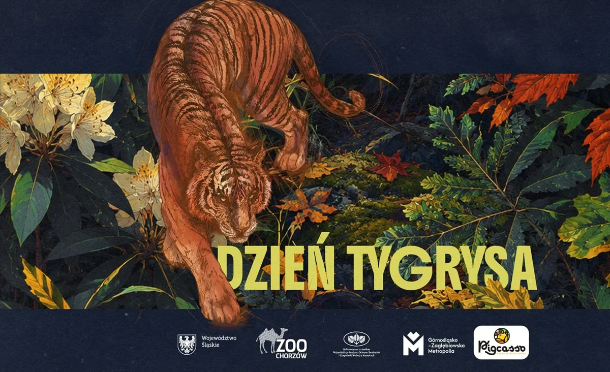 Dzień Tygrysa w Śląskim ZOO. Atrakcje dla całych rodzin