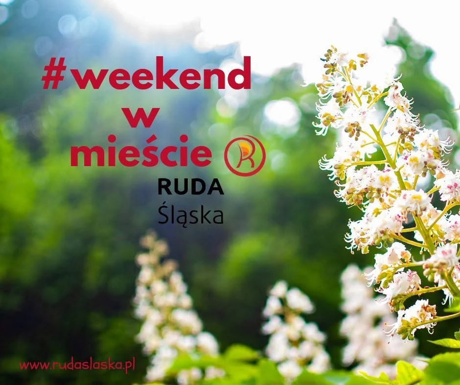 Weekend pełen atrakcji w Rudzie Śląskiej. Koncerty, pikniki, teatr i wodne szaleństwo