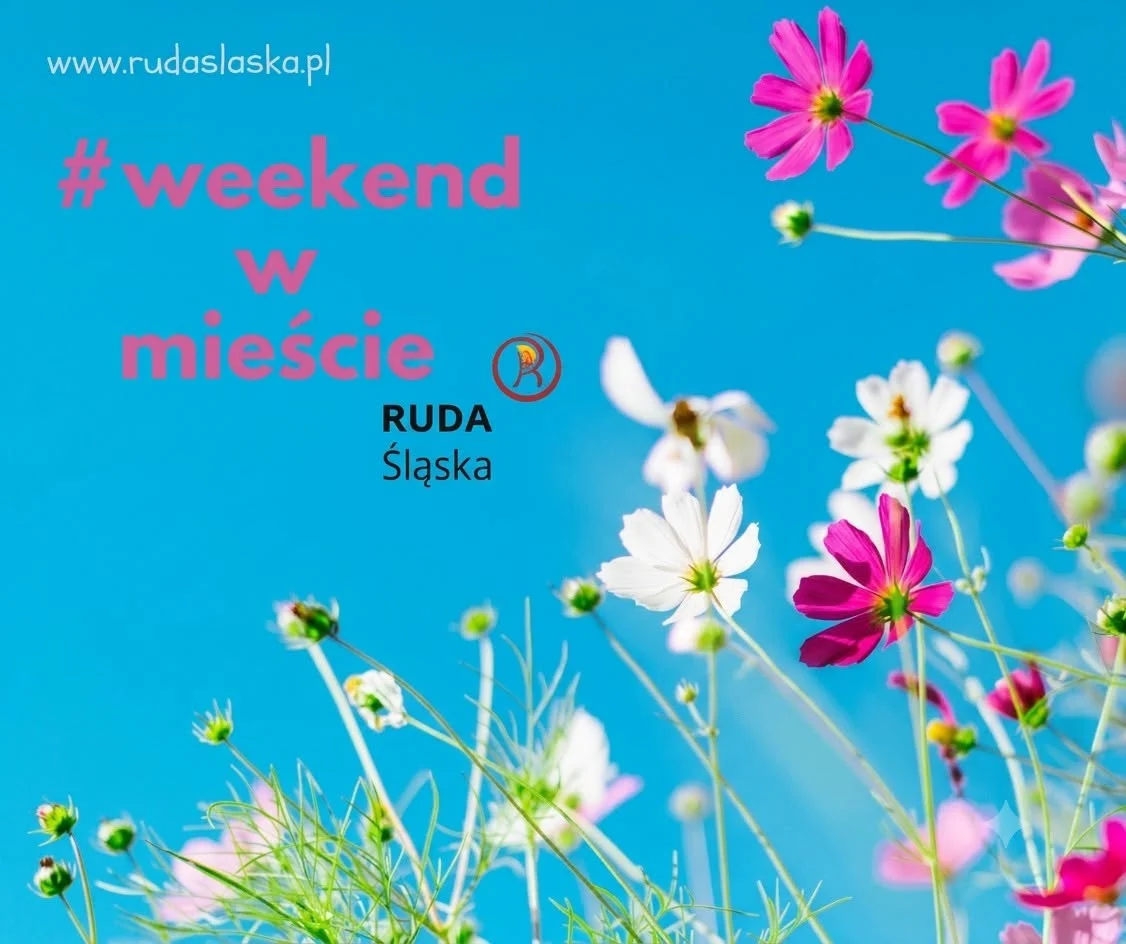 Od potańcówki po festiwal dinozaurów. Tak zapowiada się weekend w Rudzie Śląskiej