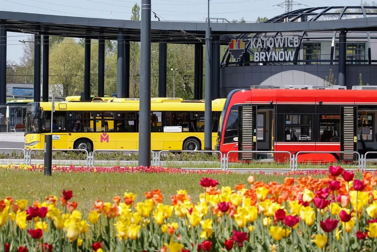 14 wykonawców chce zbudować Tramwaj na południe
