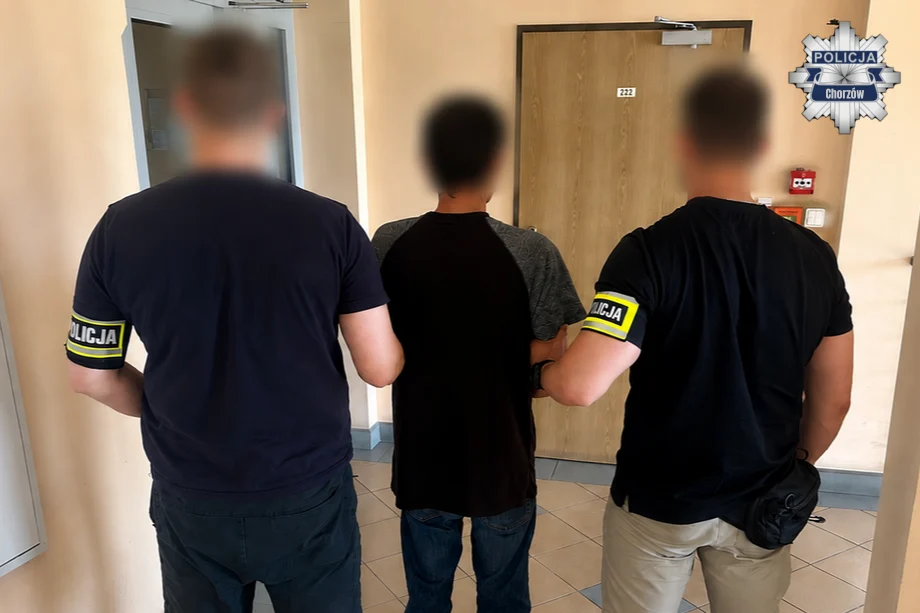 Europejski Nakaz Aresztowania i zatrzymanie w Chorzowie. 49-latek trafił do aresztu