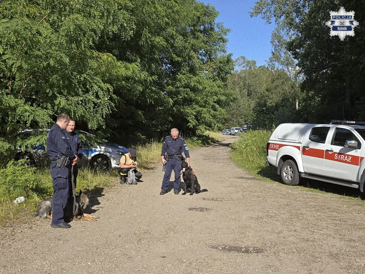 Rybnickie służby sprawdzały gotowość. Ćwiczenia odbyły się w trudnym terenie leśnym /fot. KMP Rybnik