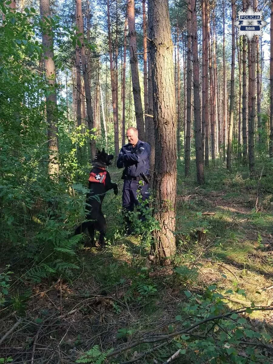 Rybnickie służby sprawdzały gotowość. Ćwiczenia odbyły się w trudnym terenie leśnym /fot. KMP Rybnik
