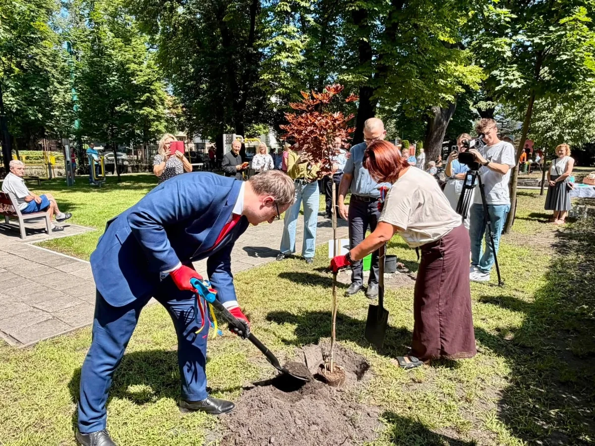 ZABRZE_04