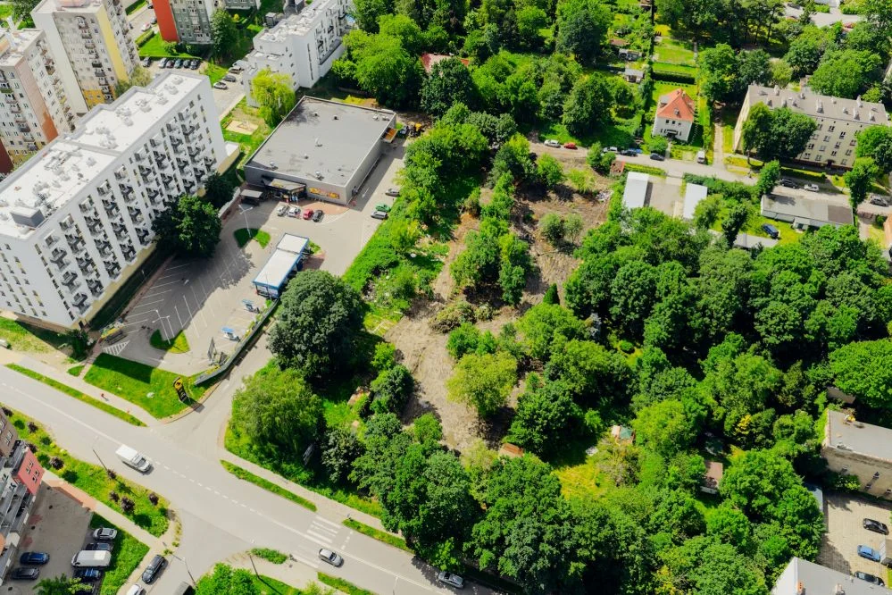 batch_noworybnicka_30_DJI_20260611102843_0030_D_Mosquidron