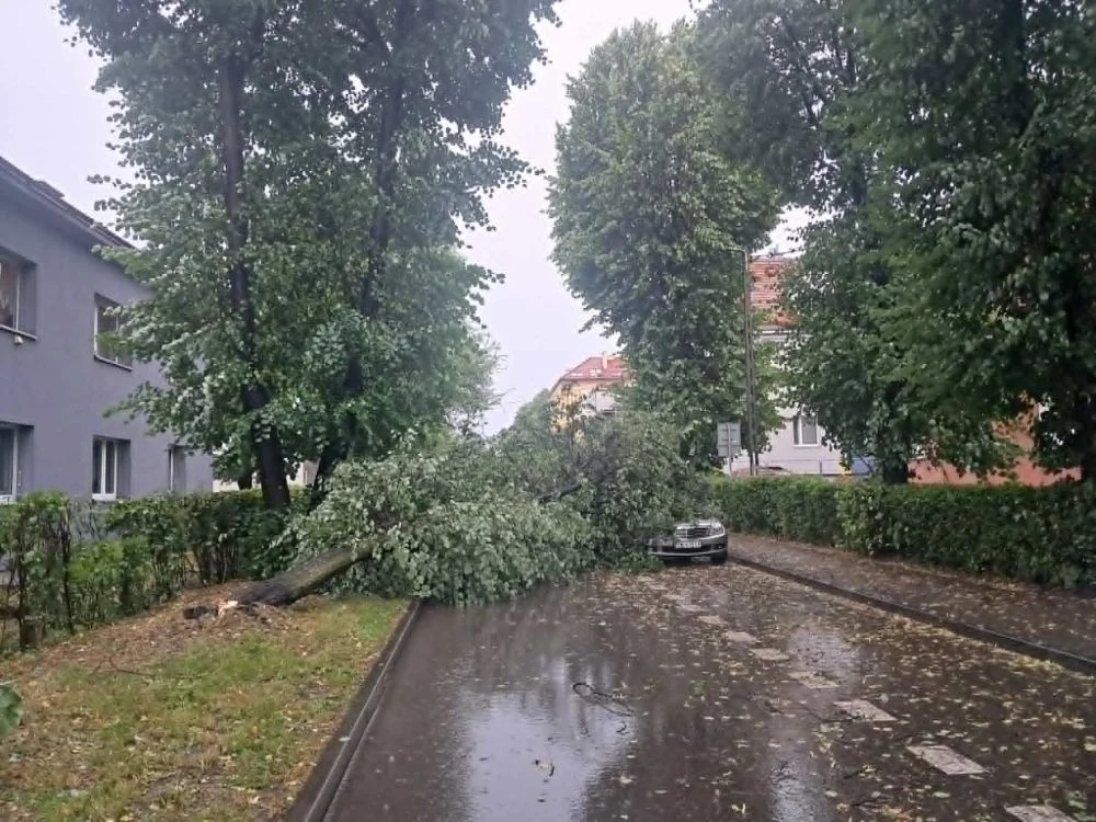 Sytuacja w Świętochłowicach: Służby prowadzą intensywne działania