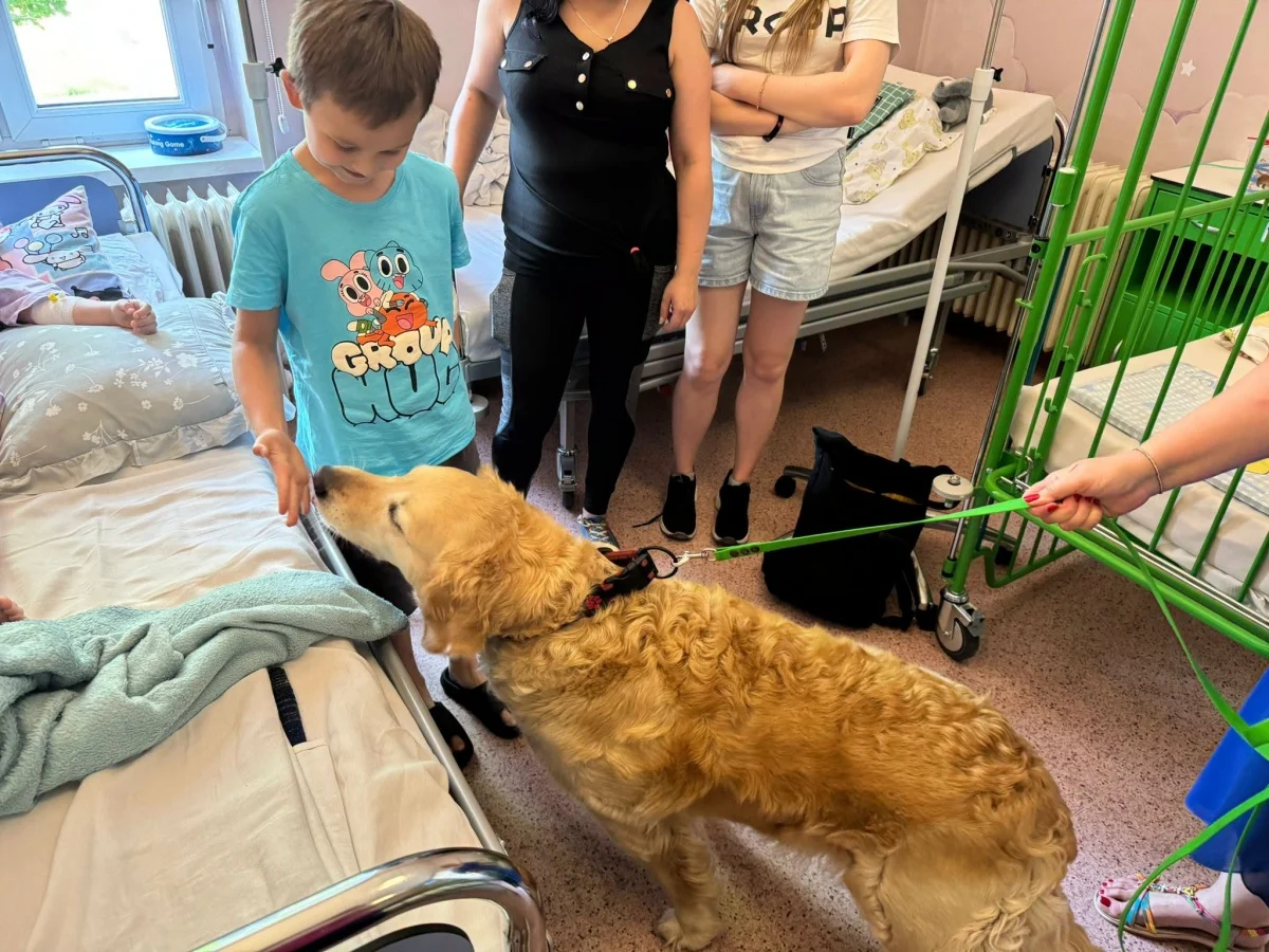 Czworonożni terapeuci odwiedzili dzieci w rudzkim szpitalu / fot. rudzki szpital