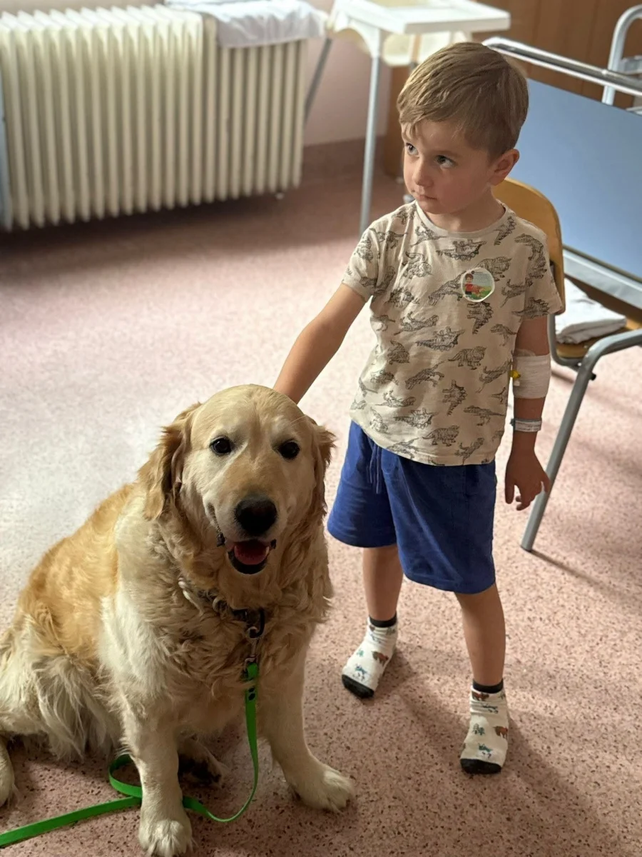 Czworonożni terapeuci odwiedzili dzieci w rudzkim szpitalu / fot. rudzki szpital