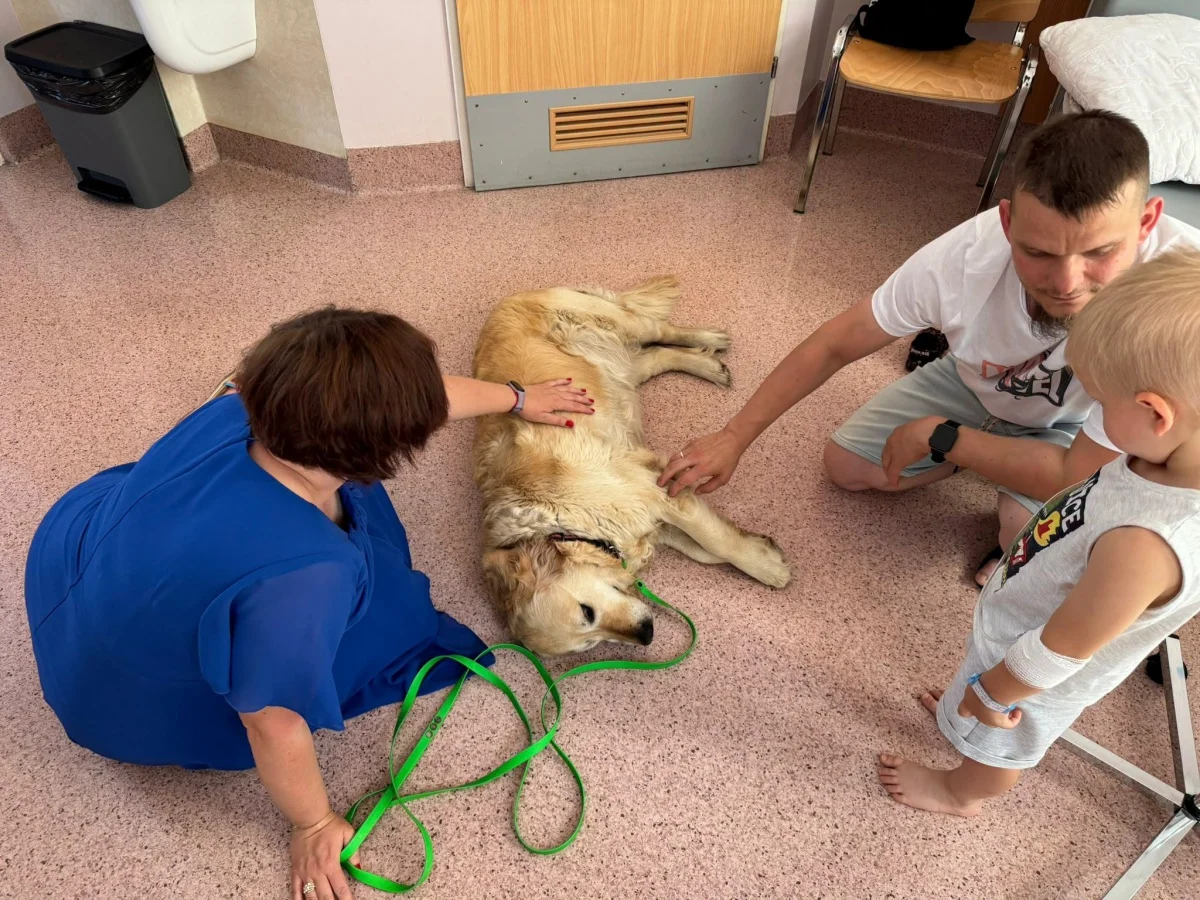 Czworonożni terapeuci odwiedzili dzieci w rudzkim szpitalu / fot. rudzki szpital