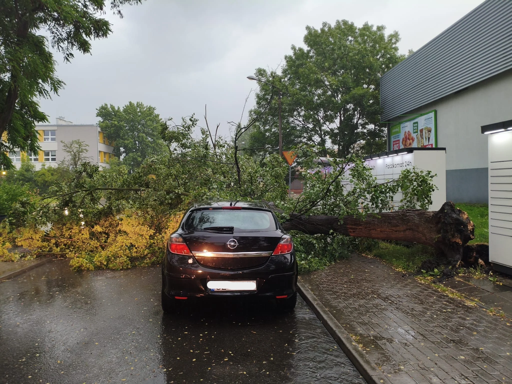 Burza w Zabrzu. 23 interwencje strażaków po ulewie i silnym wietrze / fot. KM PSP Zabrze