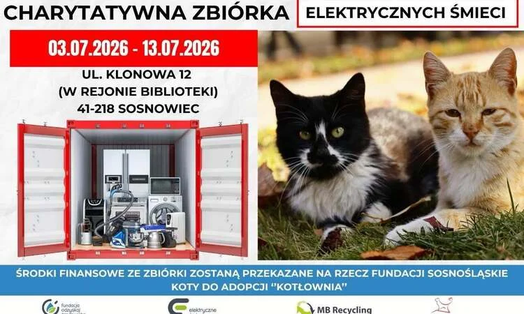 Charytatywna zbiórka elektrośmieci w Sosnowcu. Dochód trafi do kotów