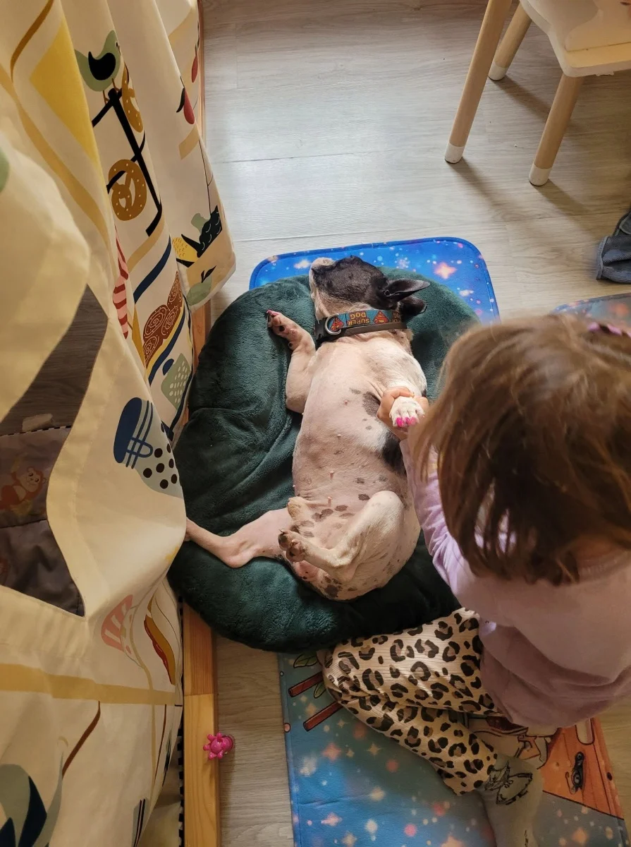 Dzień Psa w Rudzie Śląskiej. Mieszkańcy pochwalili się swoimi pupilami