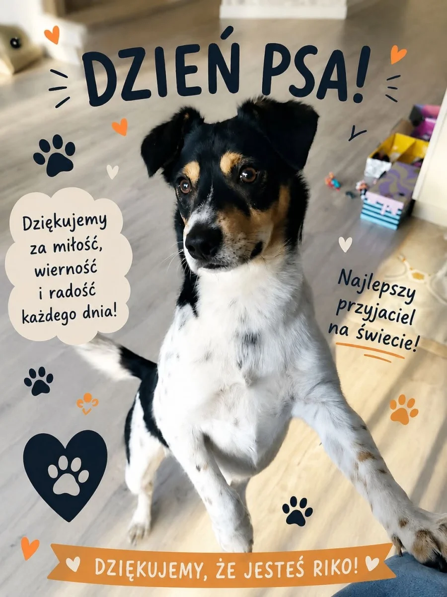 Dzień Psa w Rudzie Śląskiej. Mieszkańcy pochwalili się swoimi pupilami