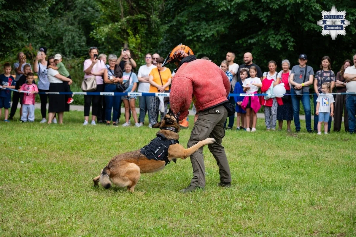 Święto Policji Komendy Miejskiej Policji w Sosnowcu oraz piknik rodzinny / fot. KMP Sosnowiec