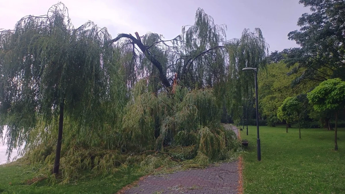 OSiR Skałka po burzy. Służby usuwają skutki nawałnicy / fot. FB Daniel Beger