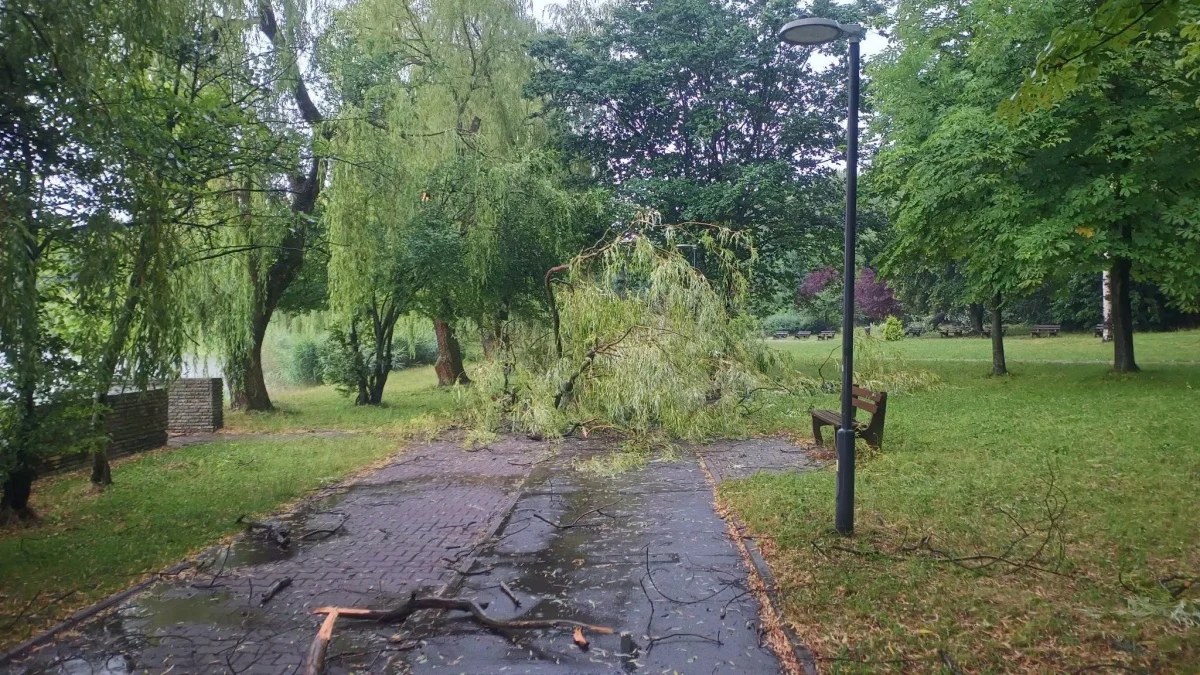 OSiR Skałka po burzy. Służby usuwają skutki nawałnicy / fot. FB Daniel Beger