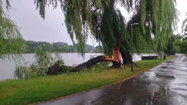 OSiR Skałka po burzy. Służby usuwają skutki nawałnicy