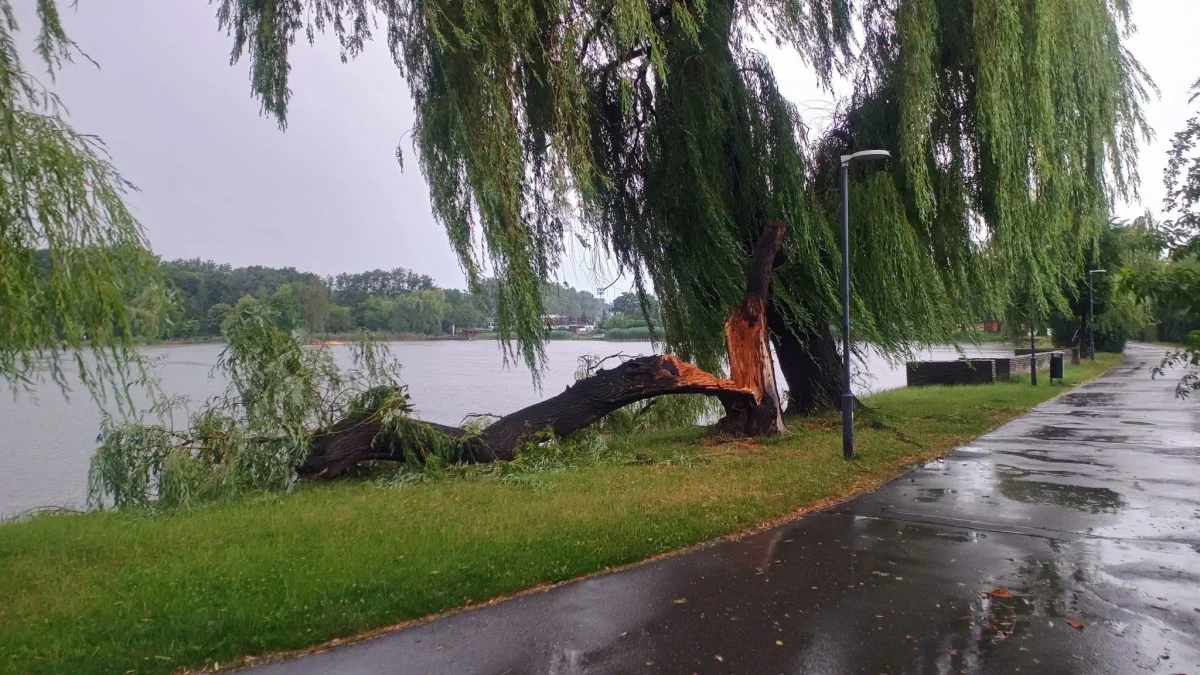 OSiR Skałka po burzy. Służby usuwają skutki nawałnicy