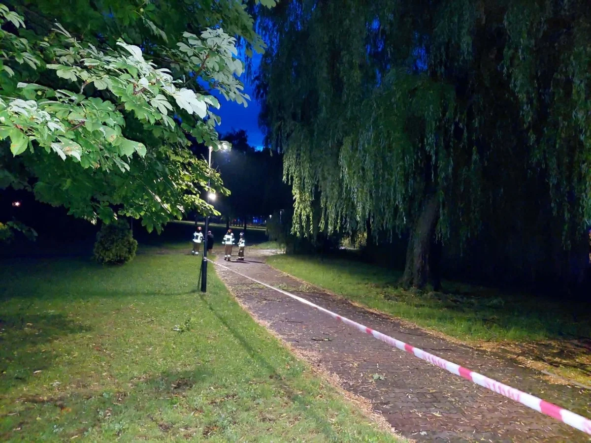 OSiR Skałka po burzy. Służby usuwają skutki nawałnicy / fot. OSiR Skałka