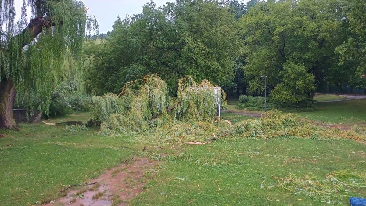 OSiR Skałka po burzy. Służby usuwają skutki nawałnicy / fot. FB Daniel Beger