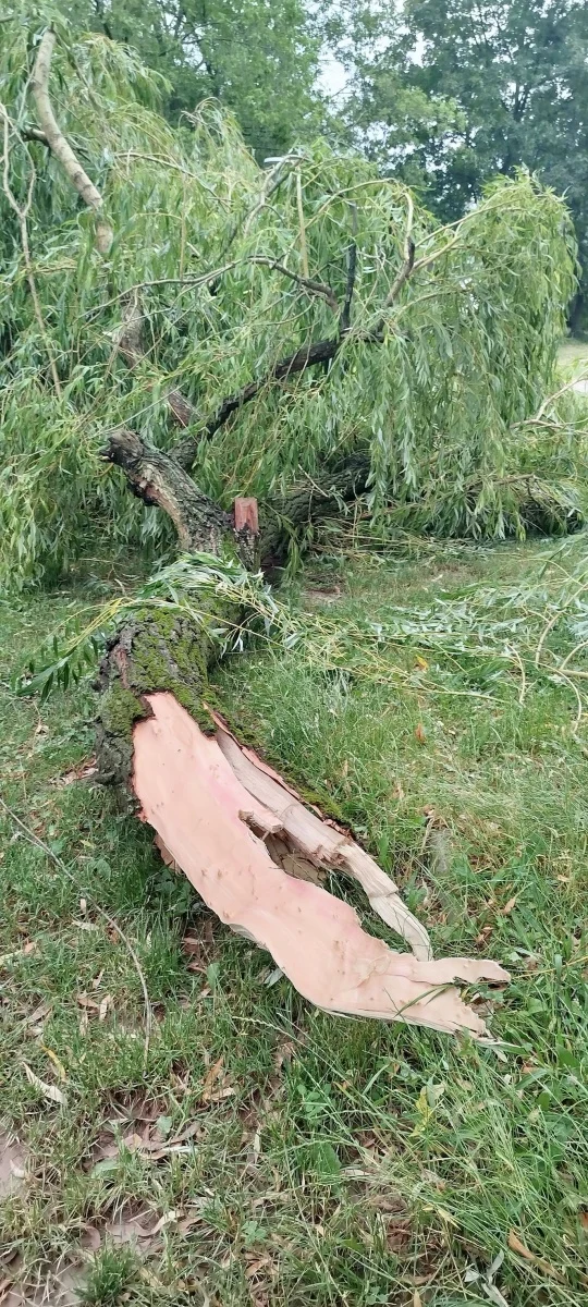 OSiR Skałka po burzy. Służby usuwają skutki nawałnicy / fot. FB OSiR Skałka