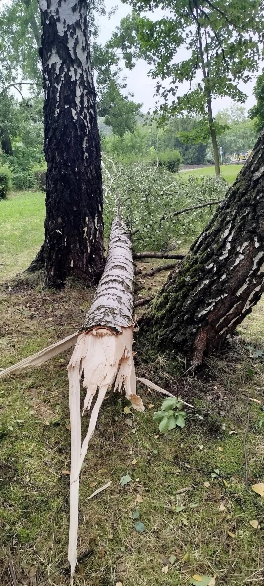 OSiR Skałka po burzy. Służby usuwają skutki nawałnicy / fot. FB OSiR Skałka
