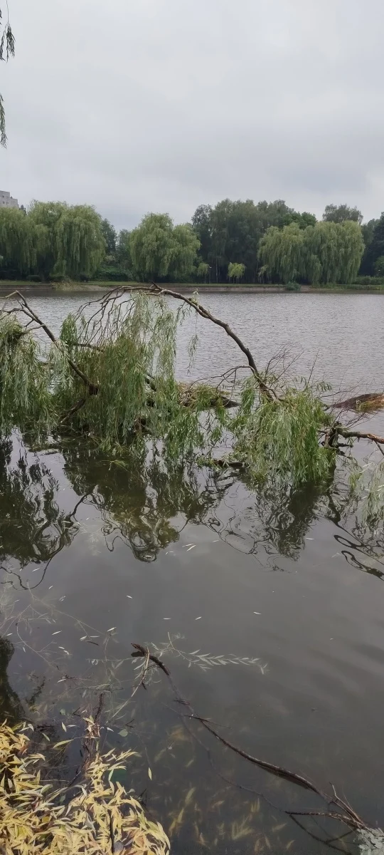 OSiR Skałka po burzy. Służby usuwają skutki nawałnicy / fot. FB OSiR Skałka