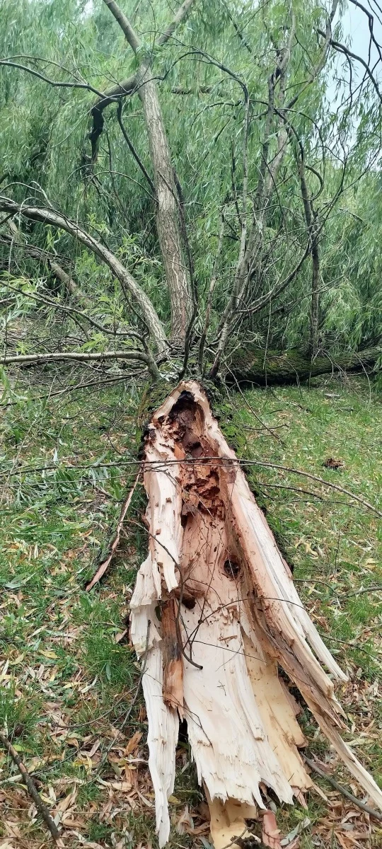 OSiR Skałka po burzy. Służby usuwają skutki nawałnicy / fot. FB OSiR Skałka