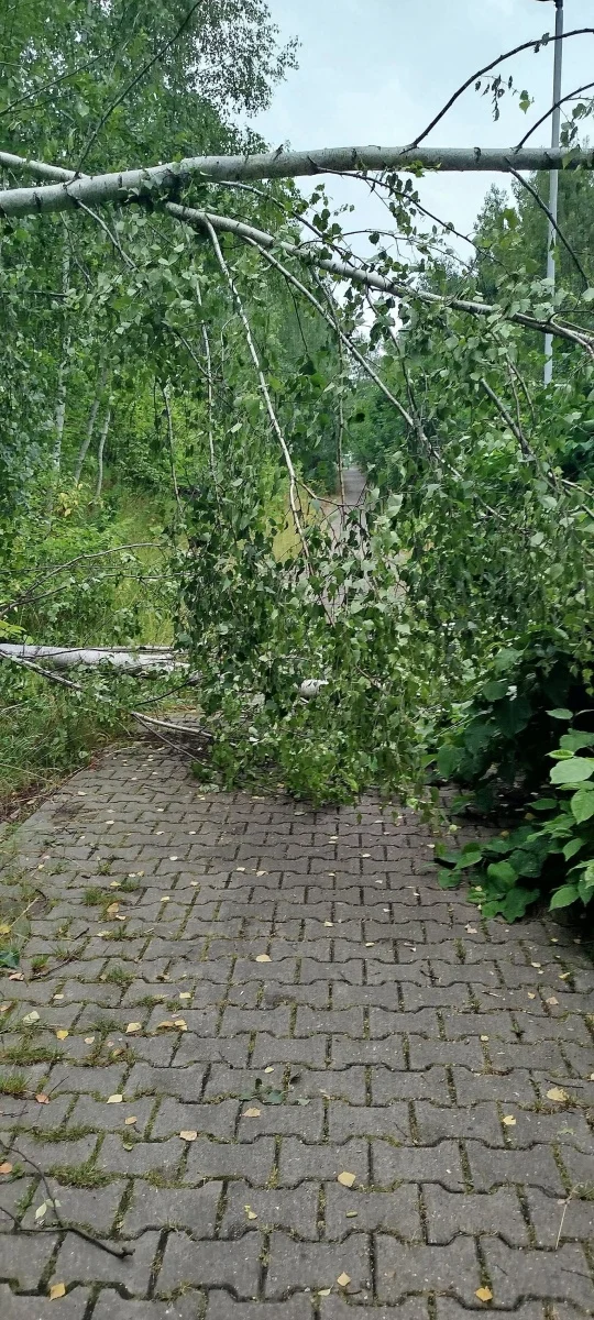 OSiR Skałka po burzy. Służby usuwają skutki nawałnicy / fot. FB OSiR Skałka