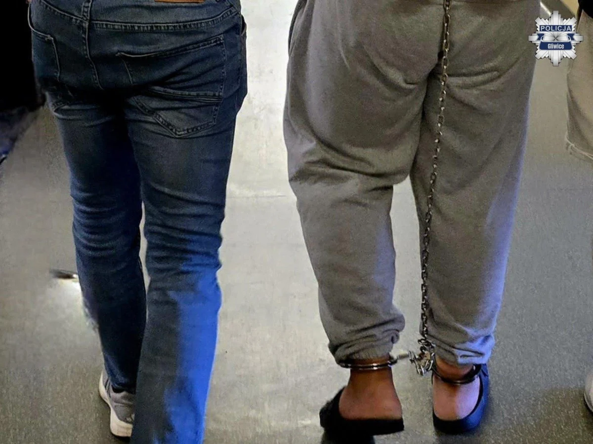 Niepokojące zdarzenie przy przedszkolach w Gliwicach. 26-latek usłyszał zarzuty /fot. Policja Gliwce