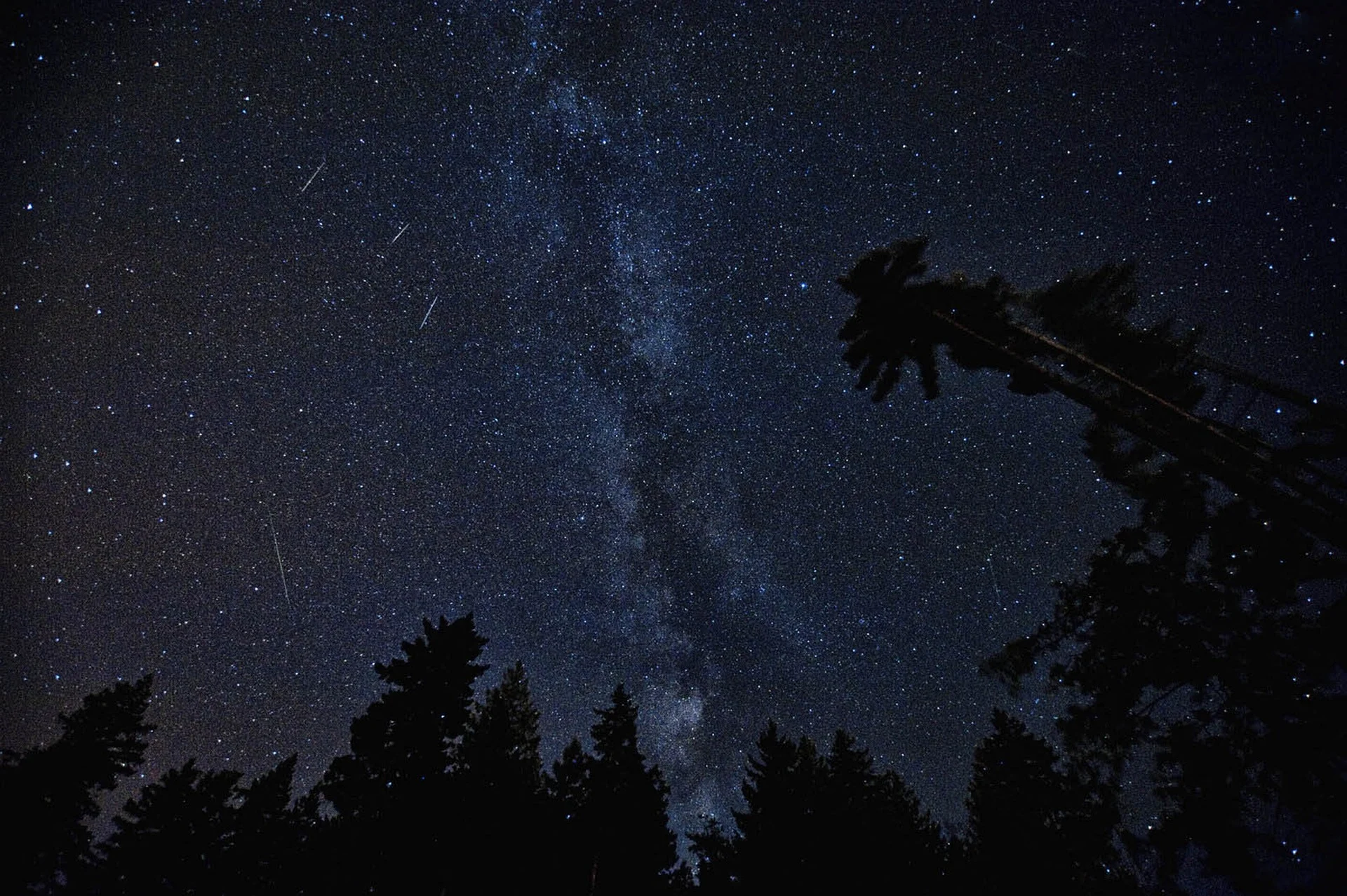Spadające gwiazdy nad Mikołowem. Dziś Noc Perseidów w Ogrodzie Botanicznym