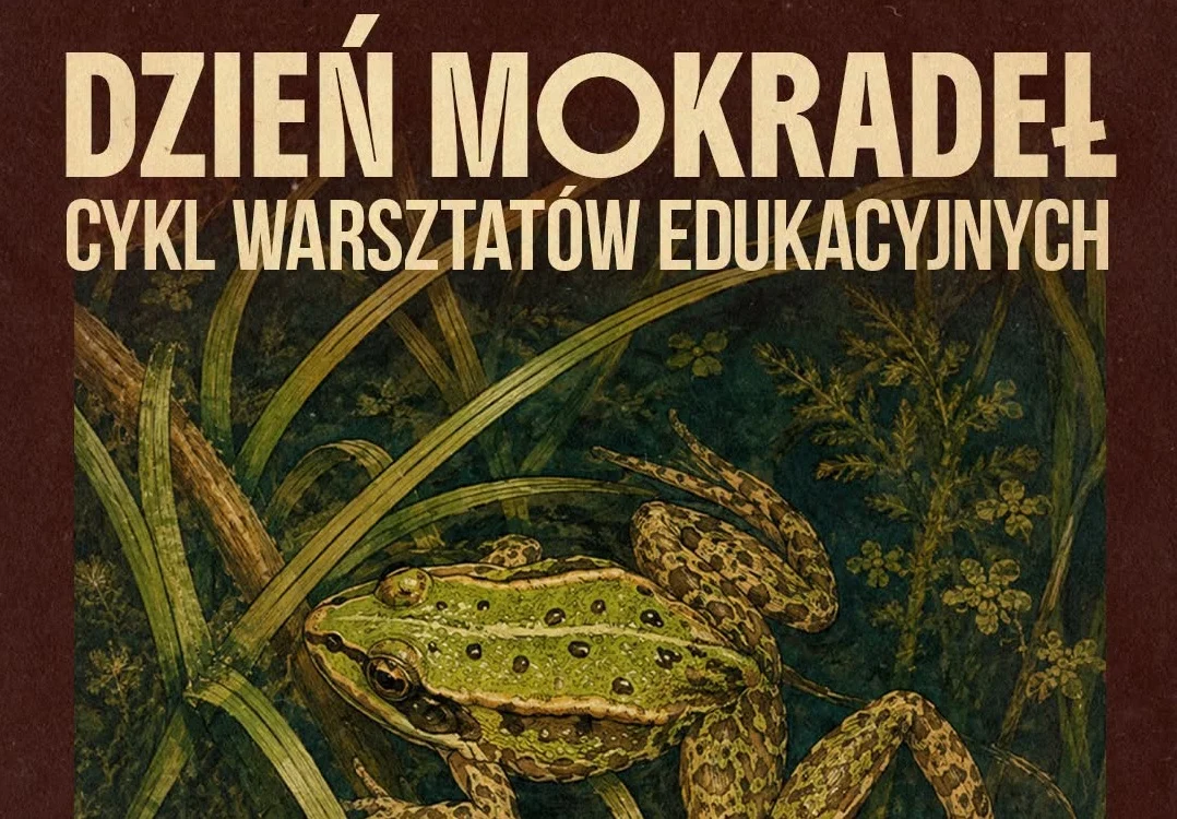 Śląskie Zoo odkrywa świat mokradeł. Trwają zapisy na warsztaty