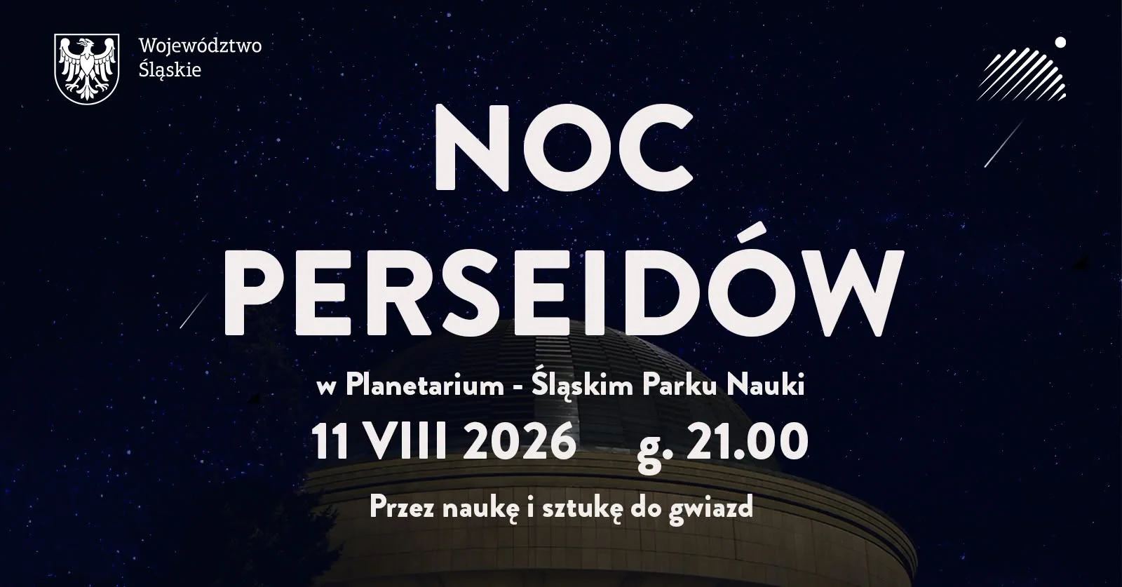 „Spadające gwiazdy” nad Parkiem Śląskim. Planetarium zaprasza na Noc Perseidów