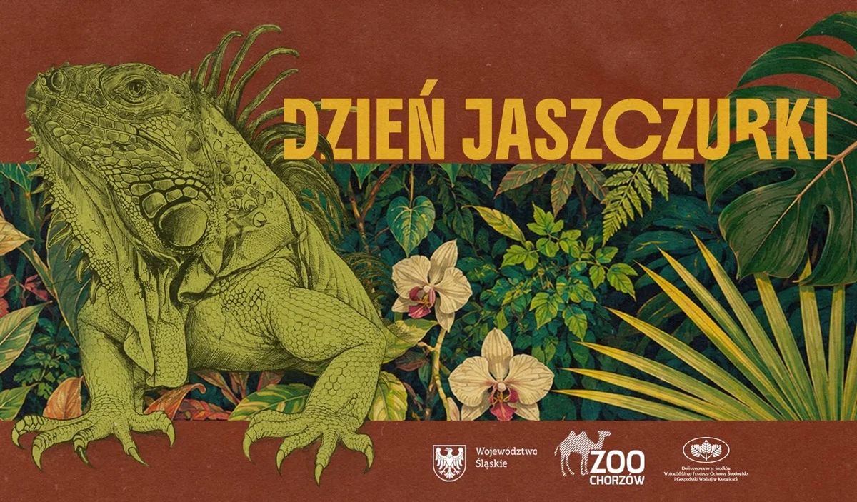 Jaszczurki opanują Śląskie Zoo. Szykuje się wyjątkowy dzień dla miłośników gadów