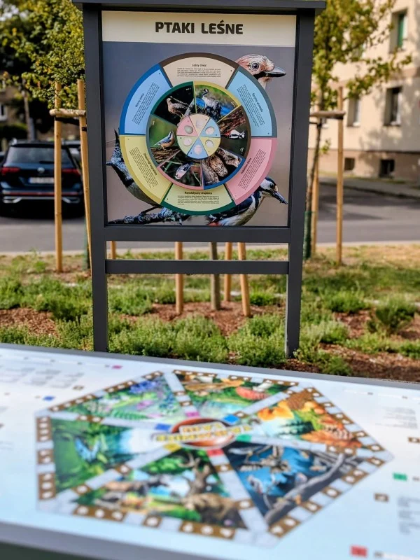 Nowe oblicze Placu Kopernika w Pyskowicach. Zieleń, edukacja i wypoczynek / fot. UM Pyskowice FB