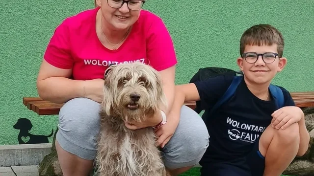 Ciapek, Leo, Suzi, Antonio, Funcik i Iryska mają już nowe domy. Kolejne udane adopcje w „Faunie”