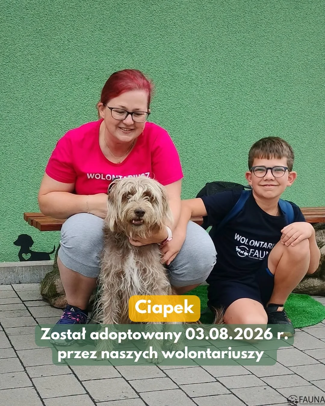 Ciapek, Leo, Suzi, Antonio, Funcik i Iryska mają już nowe domy. Kolejne udane adopcje w „Faunie”