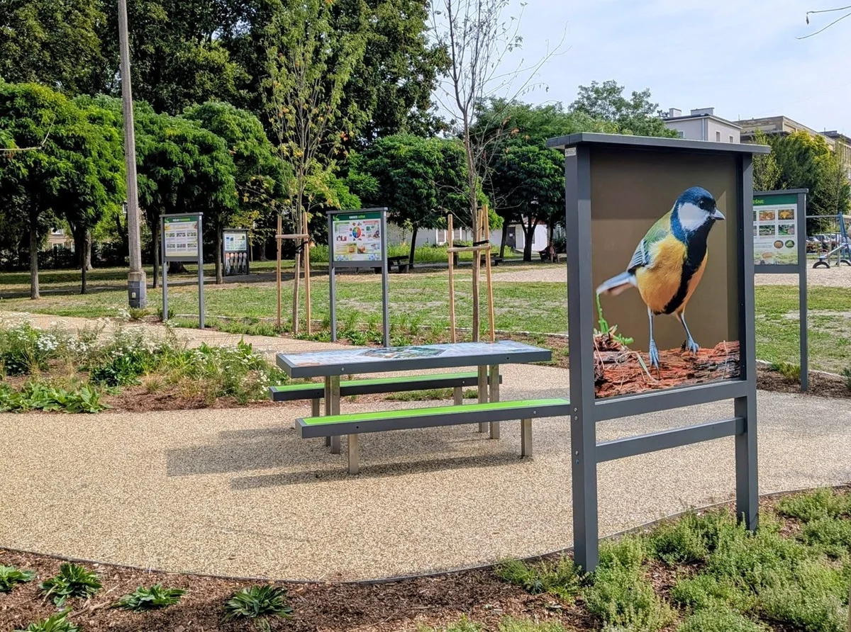 Nowe oblicze Placu Kopernika w Pyskowicach. Zieleń, edukacja i wypoczynek