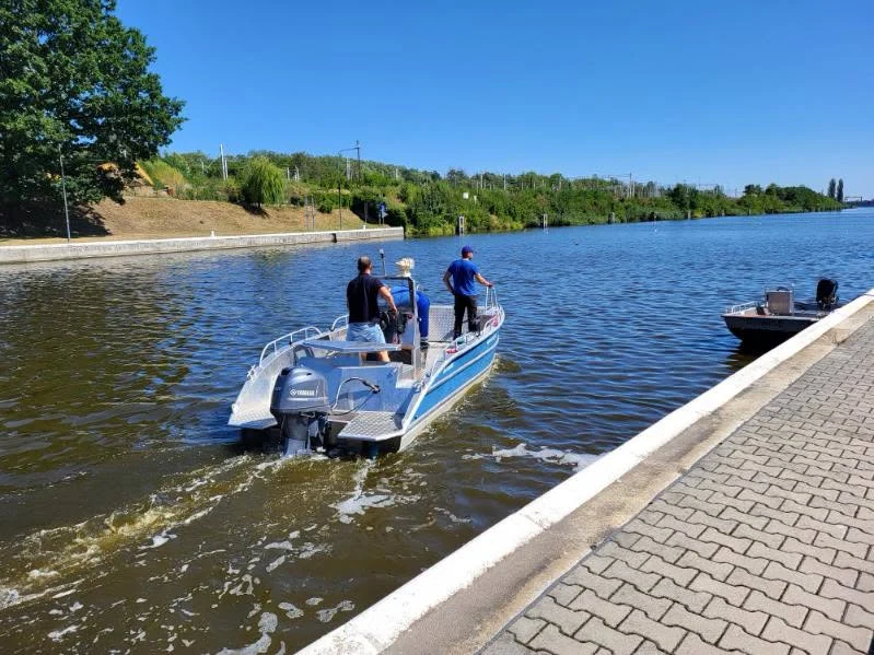 Trudna sytuacja na Kanale Gliwickim. Wyłowiono już ponad 250 kg śniętych ryb