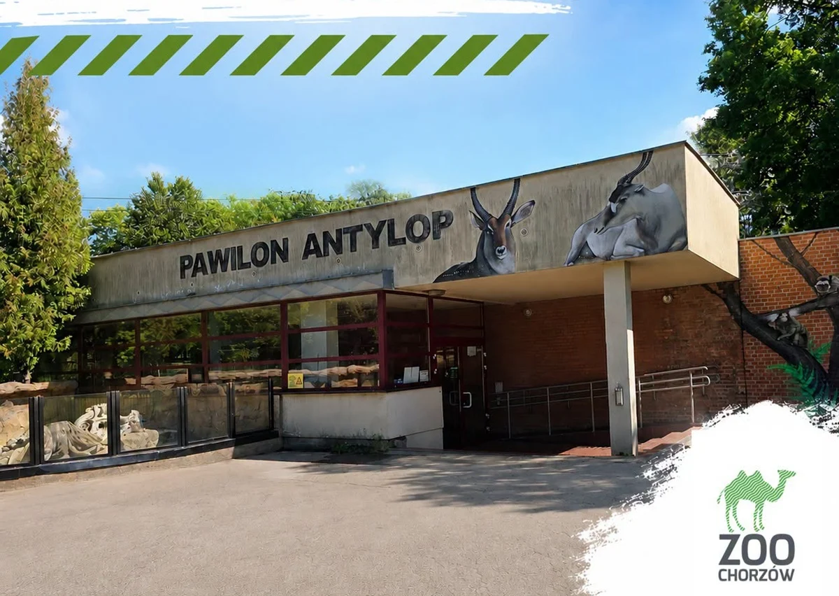 Zmiany w Śląskim ZOO. Tego pawilonu nie odwiedzimy przez dwa miesiące