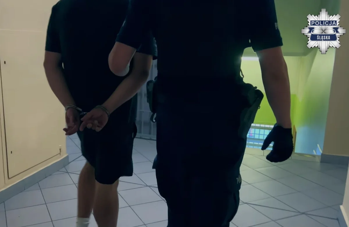 Bójka przed Stadionem Śląskim. Sześć osób usłyszało zarzuty