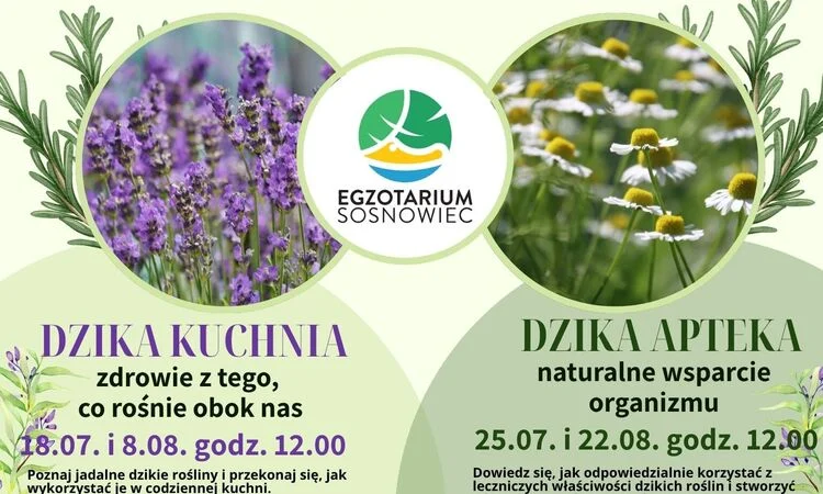 Dzika kuchnia w Egzotarium. Bezpłatne warsztaty już 8 sierpnia