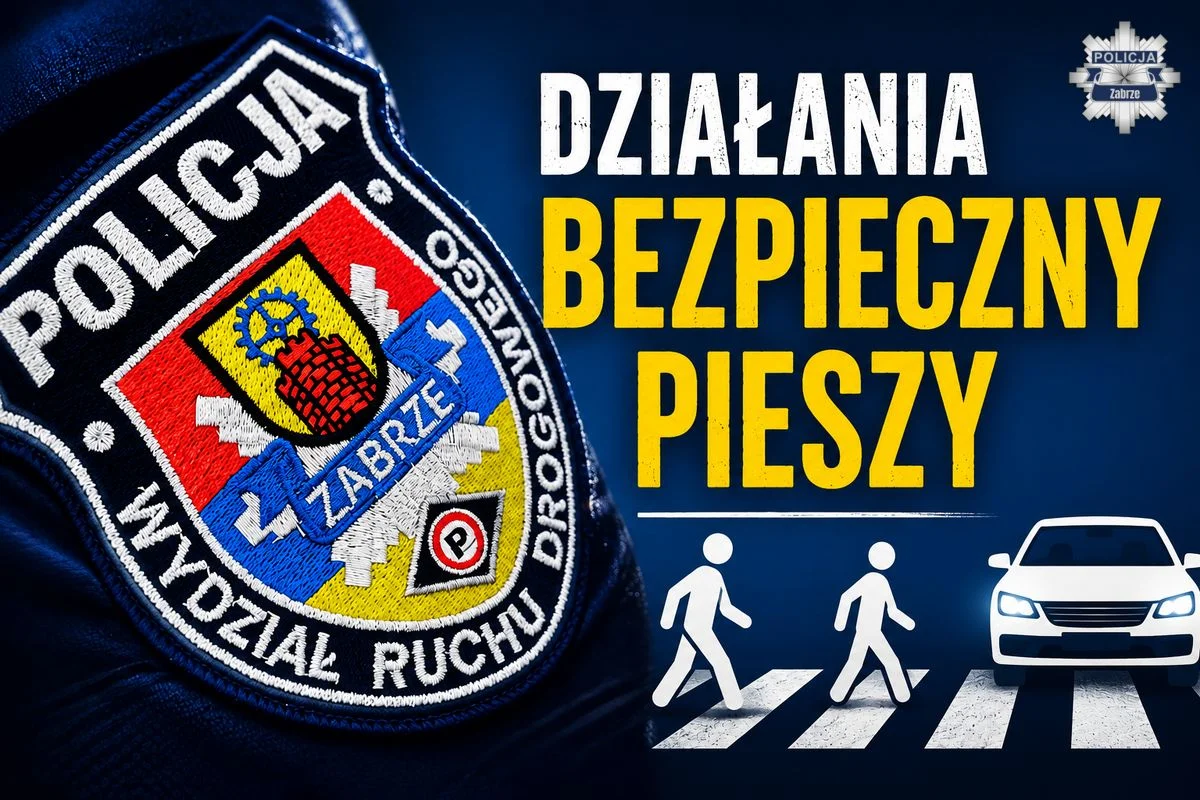 Ponad 100 wykroczeń podczas jednej akcji. Kierowcy pod lupą policji w Zabrzu
