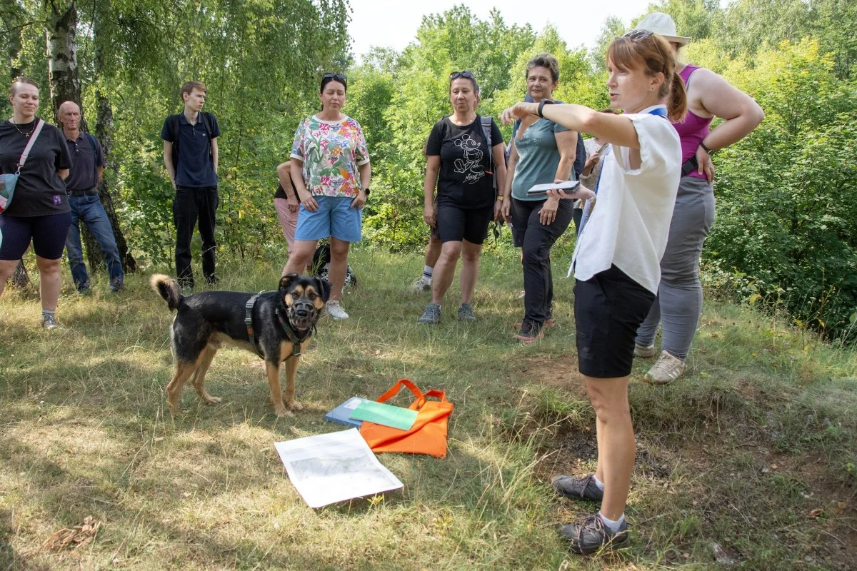 Suchogórski Labirynt Skalny odkrywa tajemnice. Kolejne spacery po Bytomiu