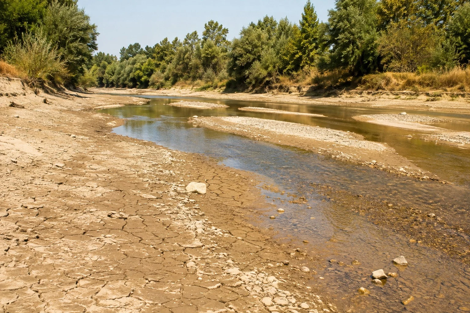 Wody Polskie ostrzegają Siemianowice Śląskie przed niżówką hydrologiczną w rzekach