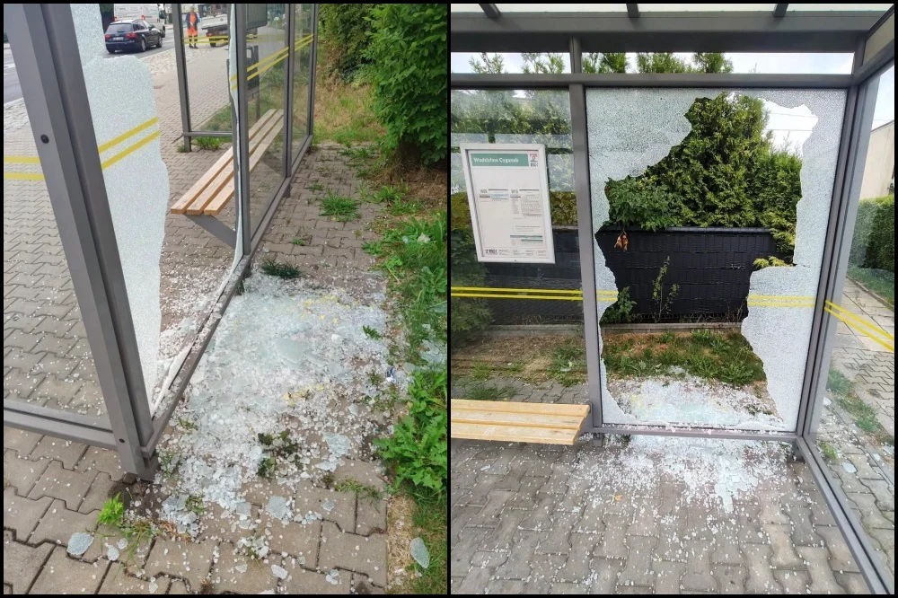 Zniszczona wiata na przystanku Wilchwy Cyganek w Wodzisławiu. Miasto szuka świadków