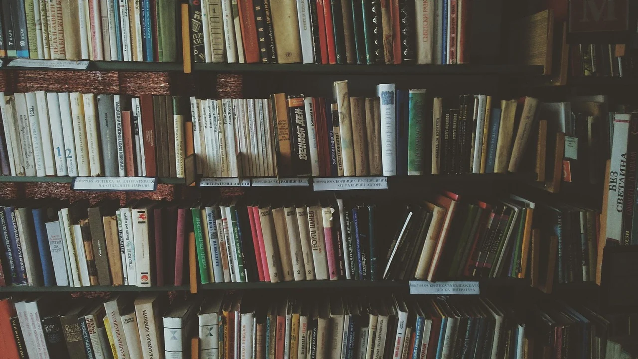 Sierpień w bibliotece. Bezpłatne atrakcje dla dzieci w Świętochłowicach